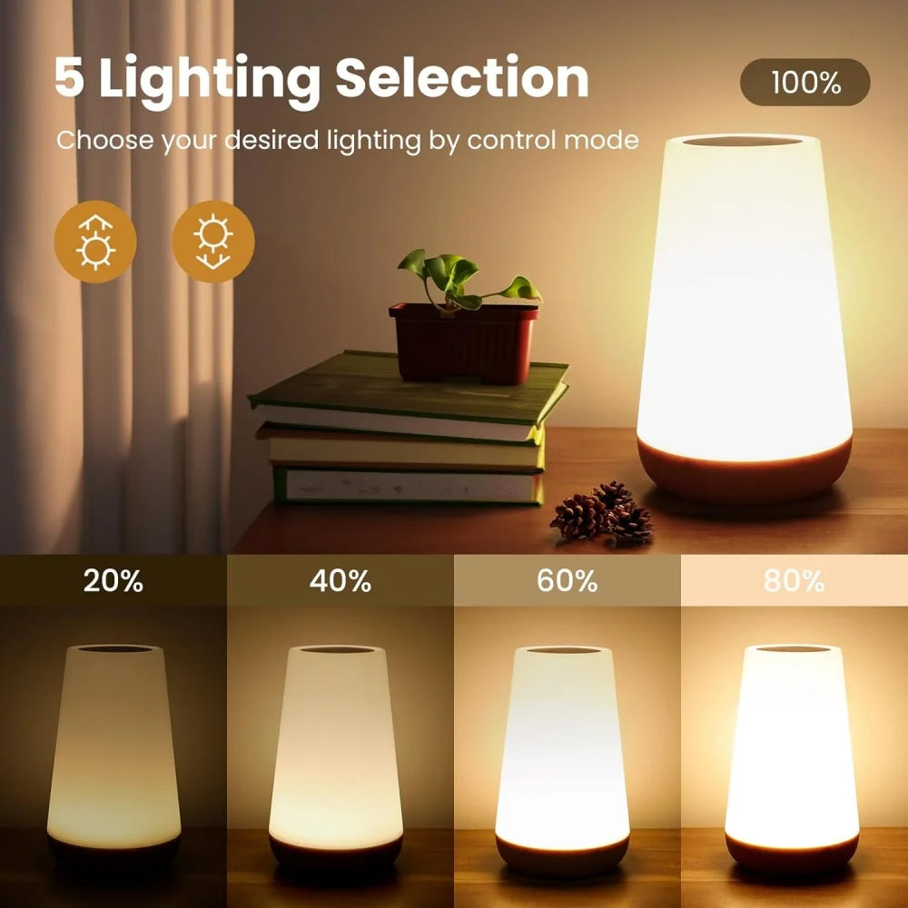 Touch Lamp